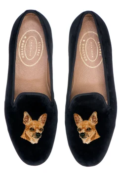 Chihuahua (Men)