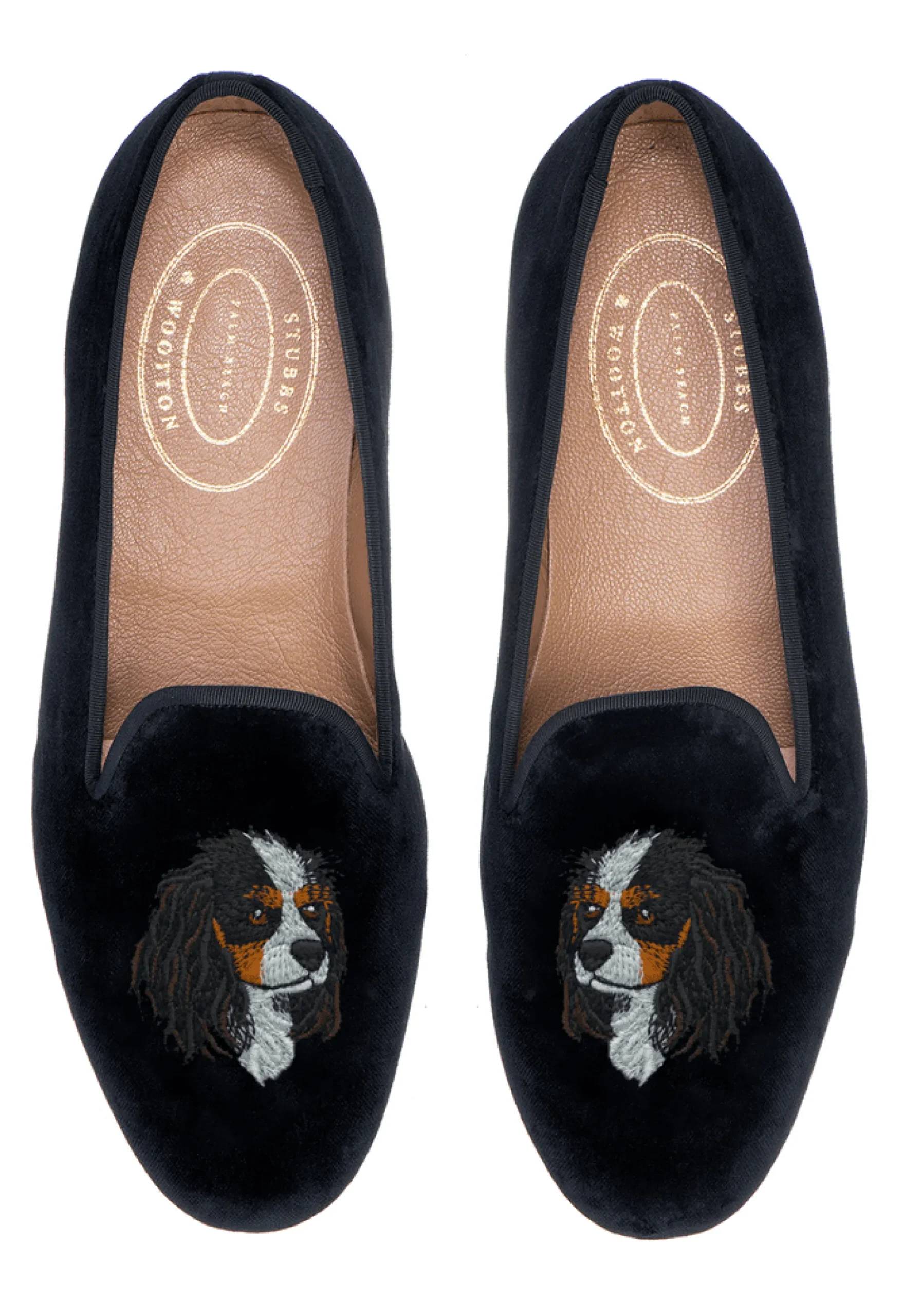 King Charles Cavalier (Men)