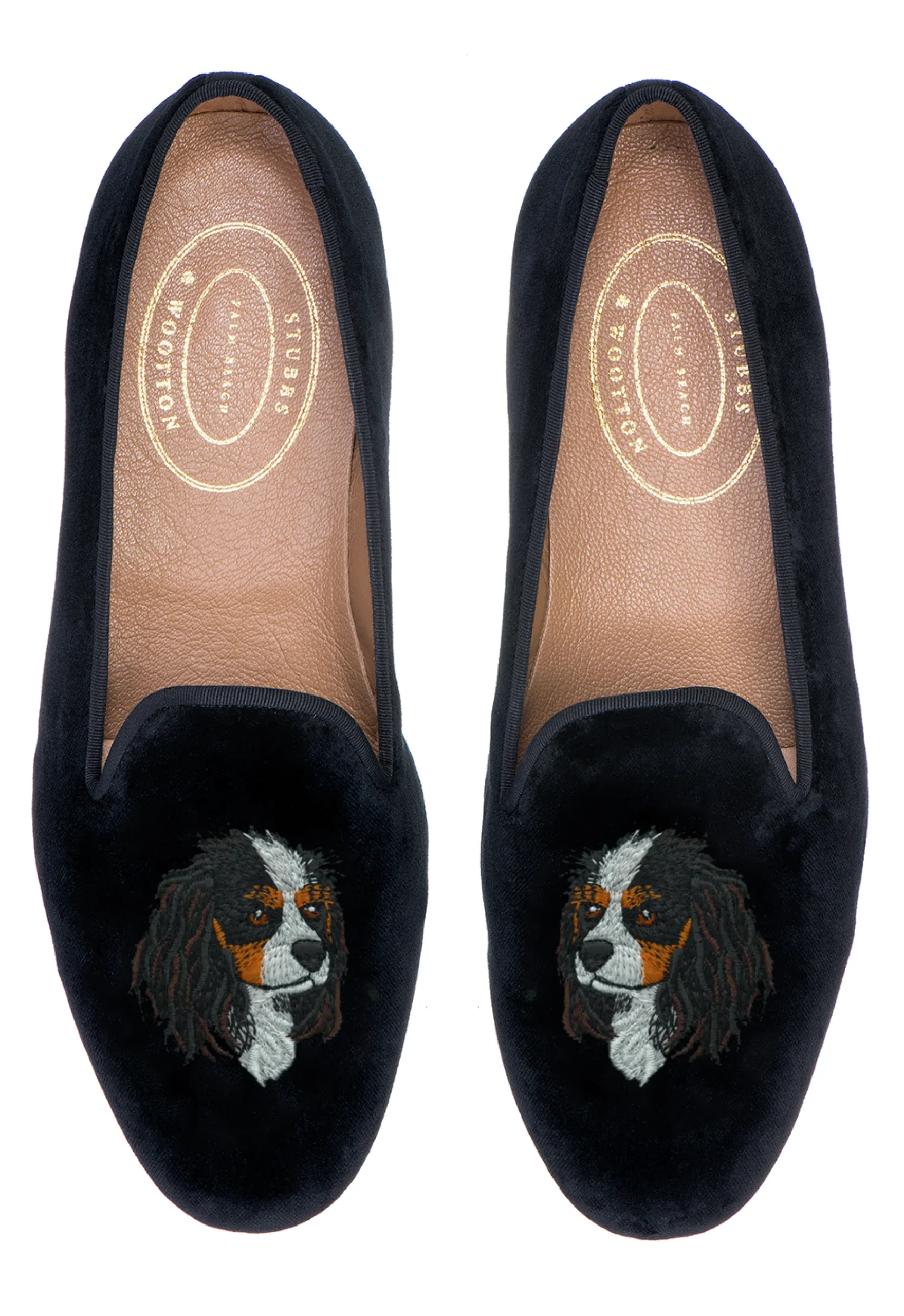 King Charles Cavalier (Women)