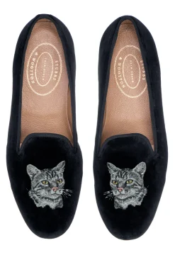 Tabby Cat (Men)